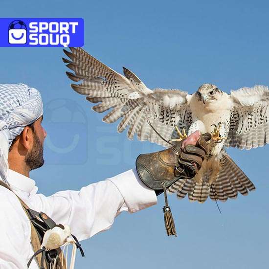 arabic-falconry-s